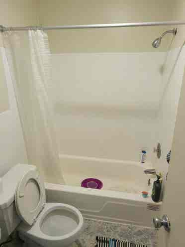 Looking for roommate