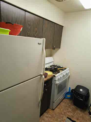 Looking for roommate