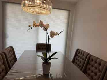 Private room for rent in Queencreek