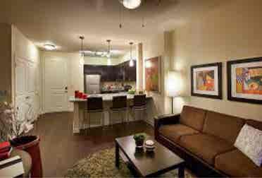 Beautiful newly renovated apartment