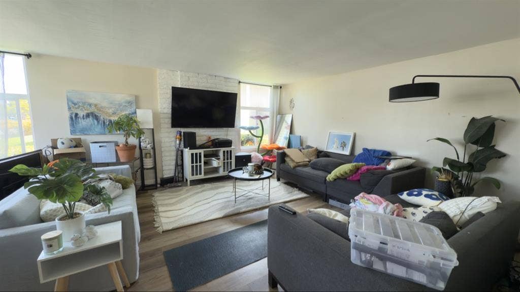 Wood floor bedroom w/great daylight