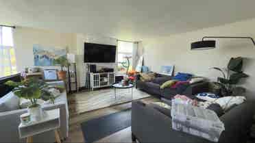 Wood floor bedroom w/great daylight