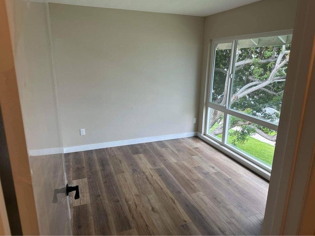 Wood floor bedroom w/great daylight