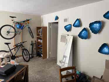 Room for rent in Belmont Heights