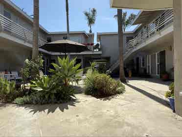 Room for rent in Belmont Heights