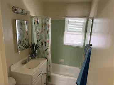 Room for rent in Belmont Heights