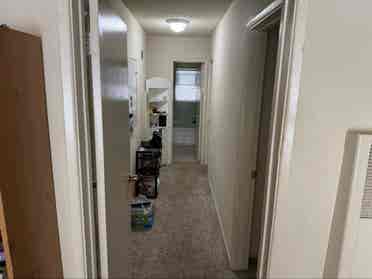 Room for rent in Belmont Heights