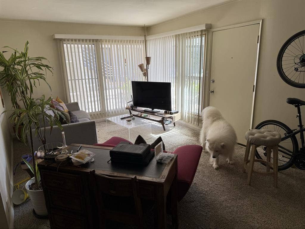 Room for rent in Belmont Heights