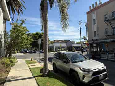 Room for rent in Belmont Heights