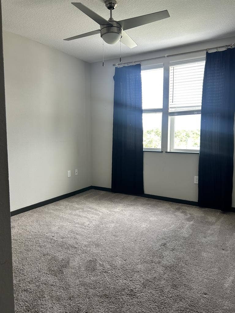 South Tampa Room for Rent