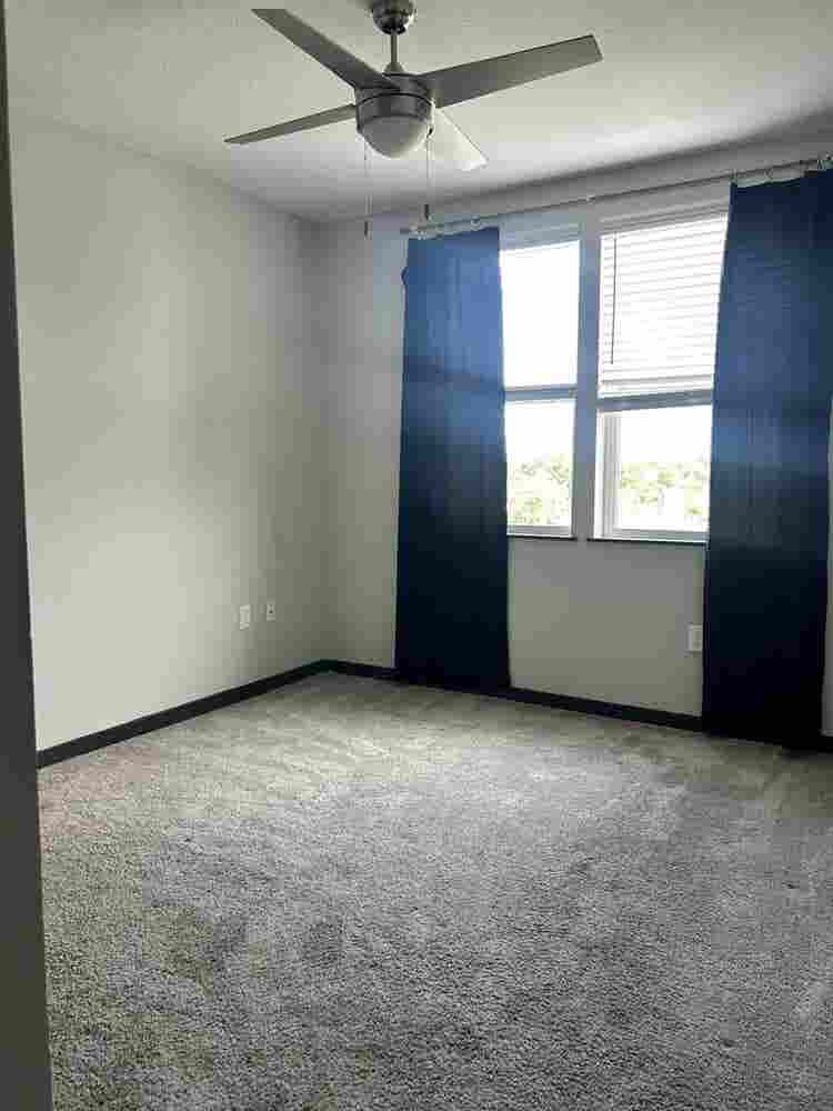 South Tampa Room for Rent