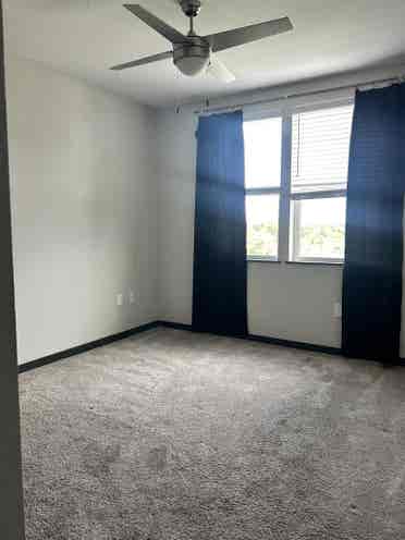 South Tampa Room for Rent