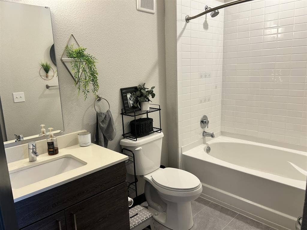 South Tampa Room for Rent