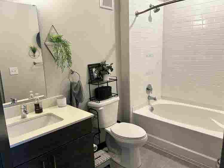 South Tampa Room for Rent