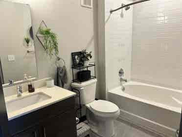 South Tampa Room for Rent