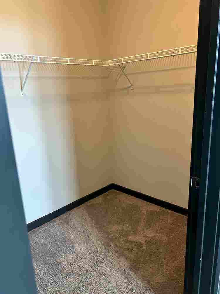 South Tampa Room for Rent