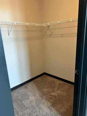 South Tampa Room for Rent