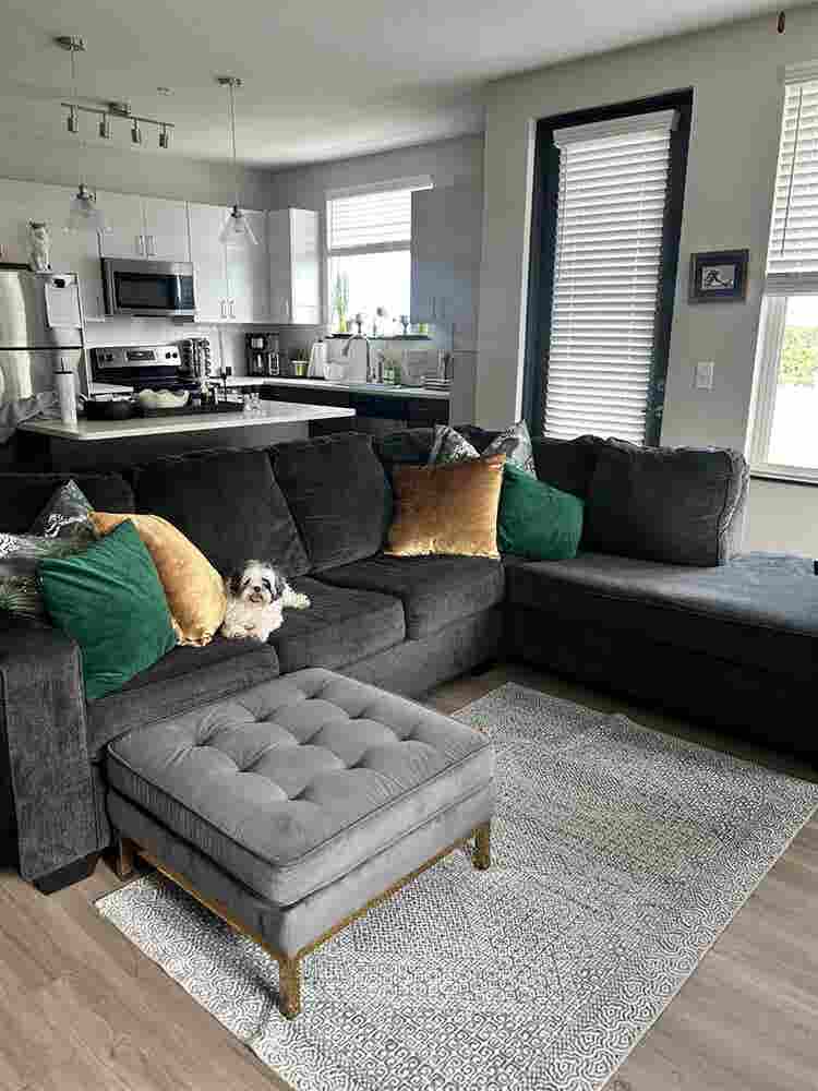 South Tampa Room for Rent