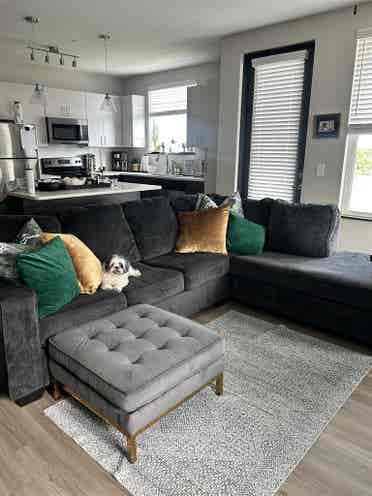 South Tampa Room for Rent