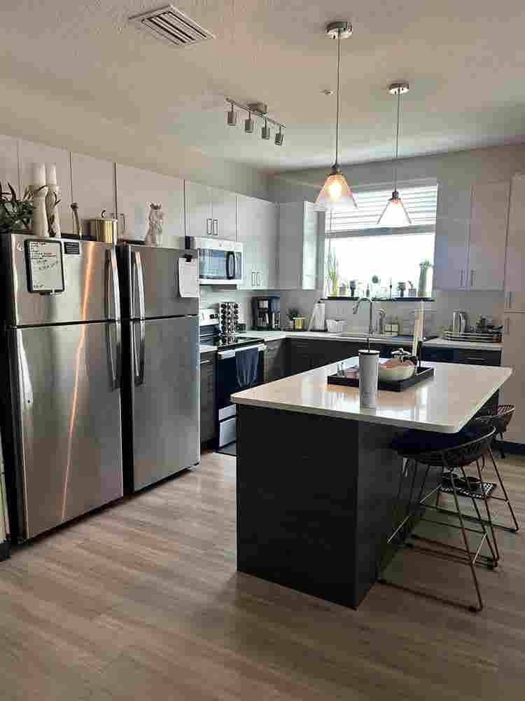 South Tampa Room for Rent
