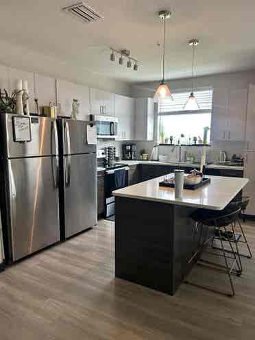South Tampa Room for Rent