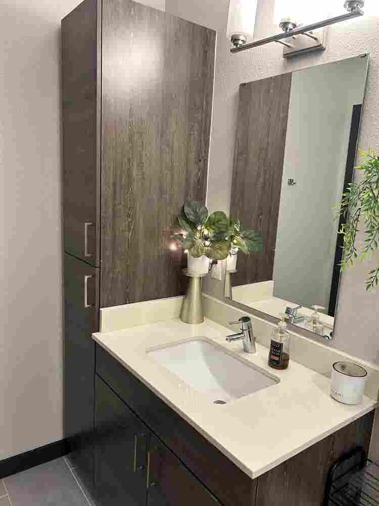 South Tampa Room for Rent