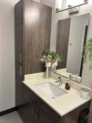 South Tampa Room for Rent