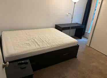 MOVE IN ASAP