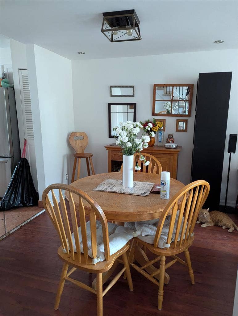 Two Spacious Rooms for Rent!