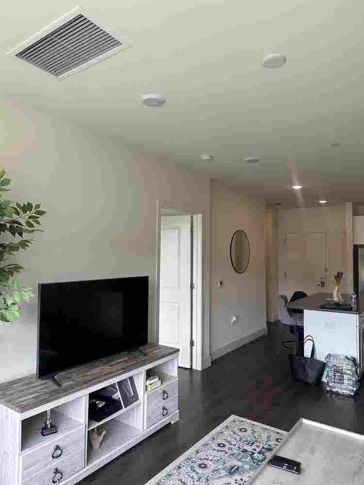 1 Bed Apt Leasing Aug st