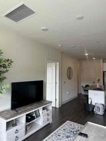 1 Bed Apt Leasing Aug st