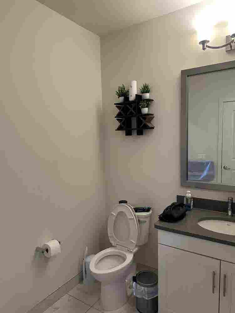 1 Bed Apt Leasing Aug st