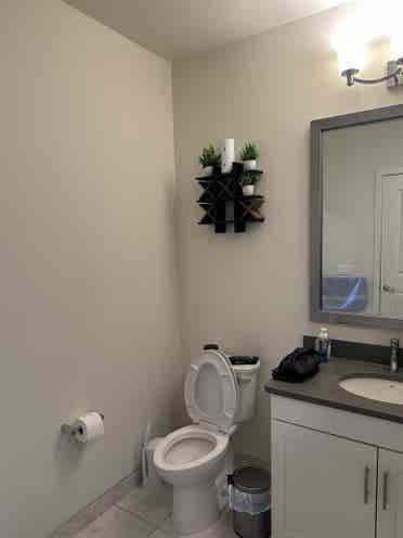 1 Bed Apt Leasing Aug st
