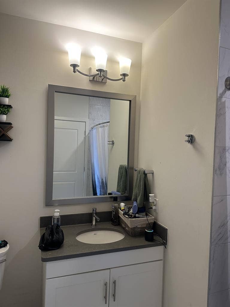 1 Bed Apt Leasing Aug st