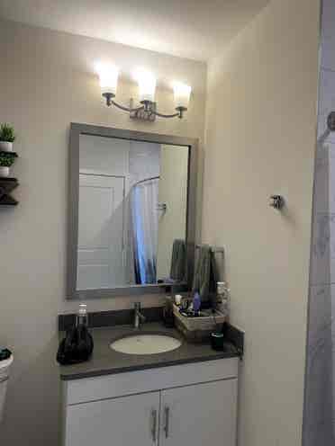 1 Bed Apt Leasing Aug st