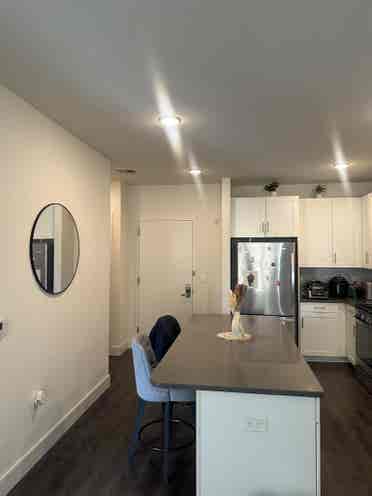 1 Bed Apt Leasing Aug st