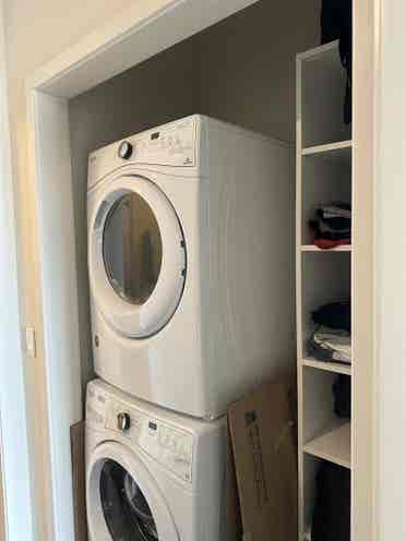 1 Bed Apt Leasing Aug st