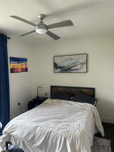 1 Bed Apt Leasing Aug st