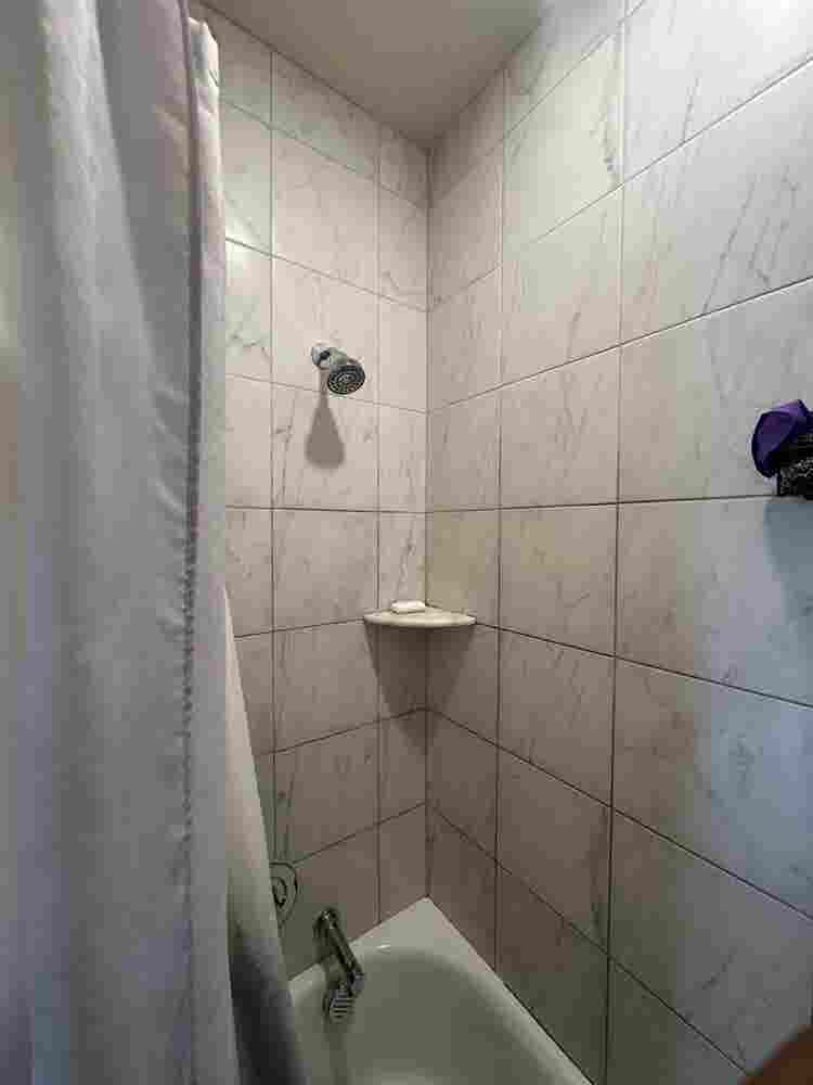 1 Bed Apt Leasing Aug st