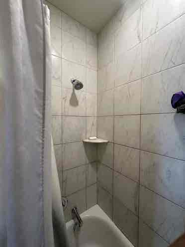 1 Bed Apt Leasing Aug st
