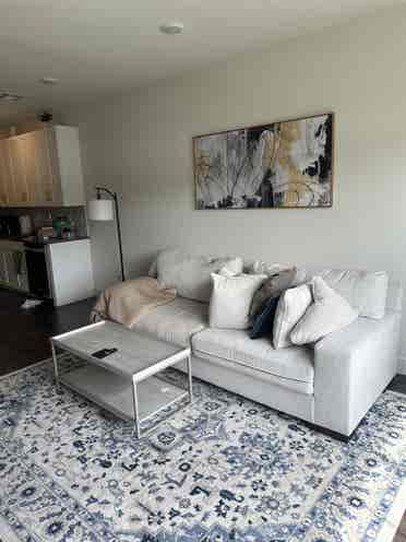 1 Bed Apt Leasing Aug st