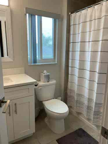 Room to Rent in Wellington