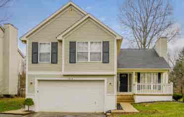 House for rent