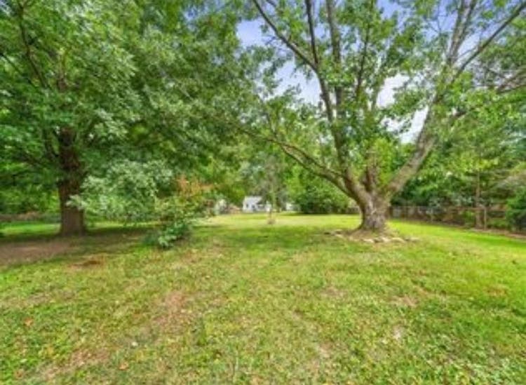 Roommate Wanted