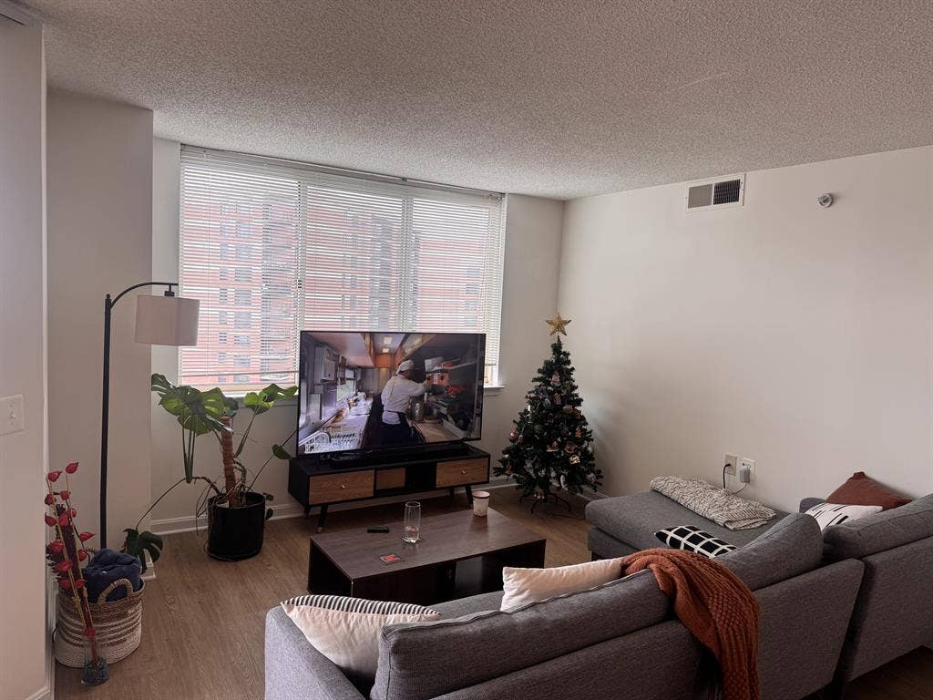 Female Roomate - Move-in August 1