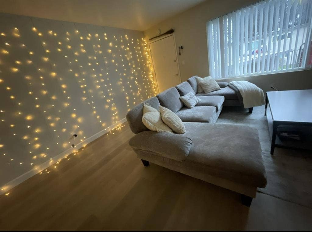 Looking for a new roommate!