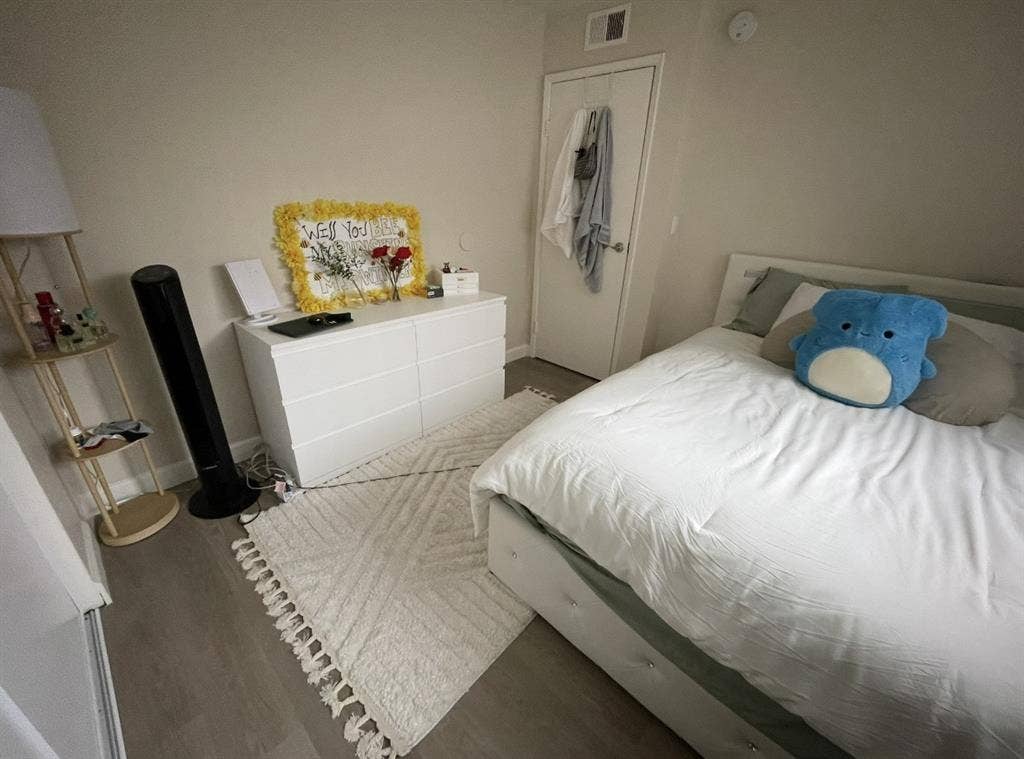 Looking for a new roommate!
