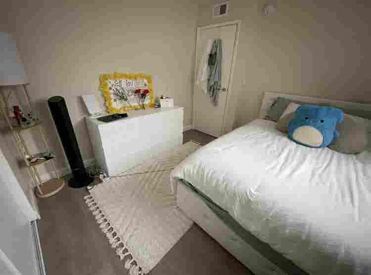 Looking for a new roommate!