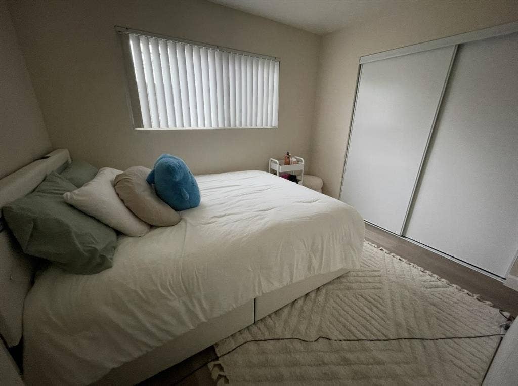 Looking for a new roommate!