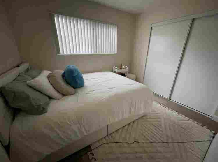 Looking for a new roommate!